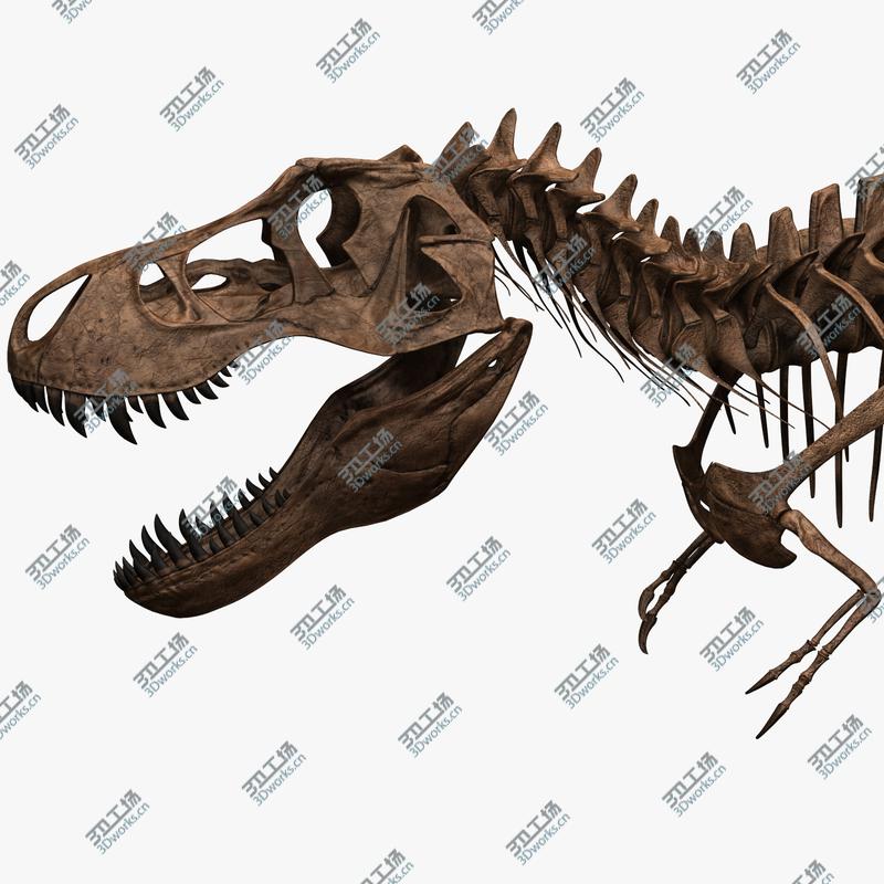images/goods_img/202105071/T-rex Skeleton/5.jpg